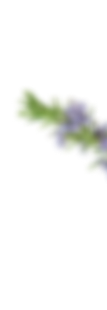 Decorative oil bottle