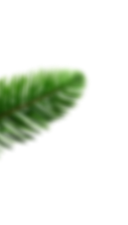 Decorative herbal leaves