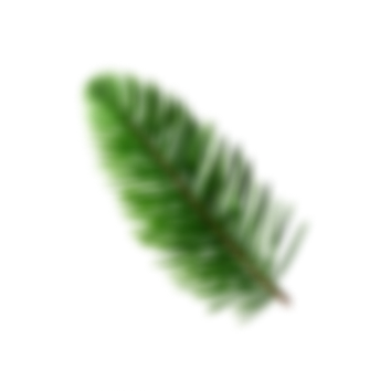 Botanical decoration