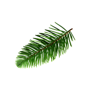 Decorative herbal leaves